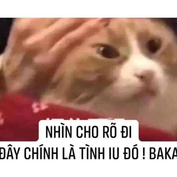 Meme yêu cậu với thông điệp gần gũi