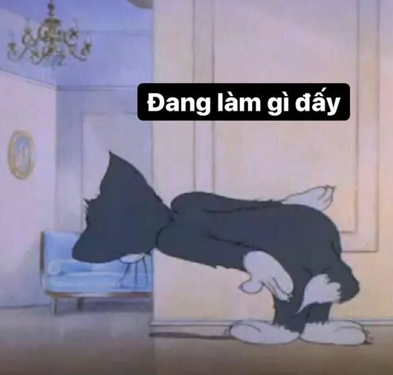 Meme em bé cười làm bạn vui cả ngày