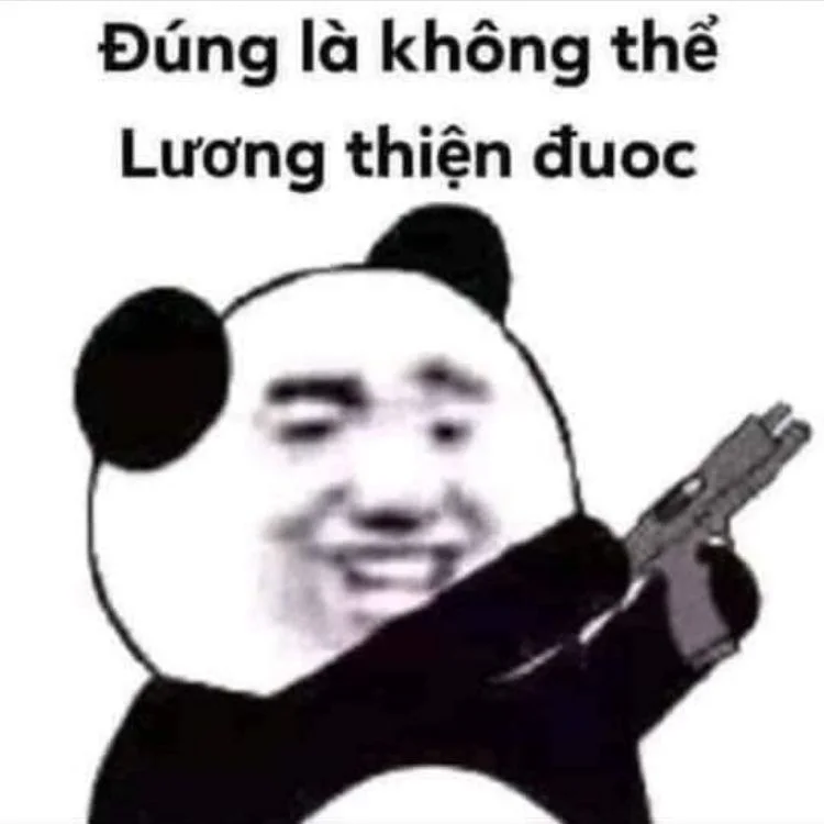 Hình meme gấu trúc hài cho bạn