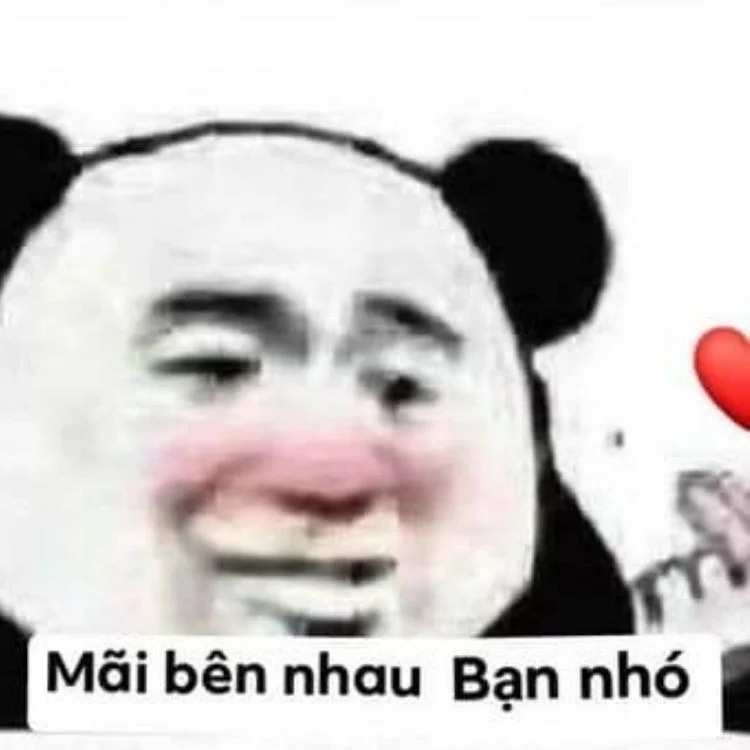 Hình meme thả thính siêu dễ thương