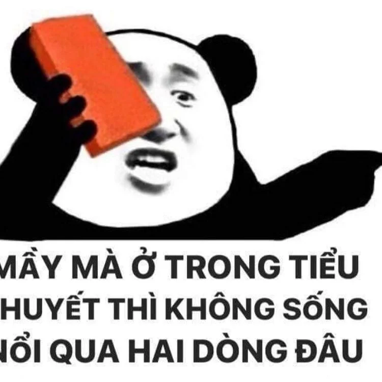 Meme panda đáng yêu dành riêng bạn