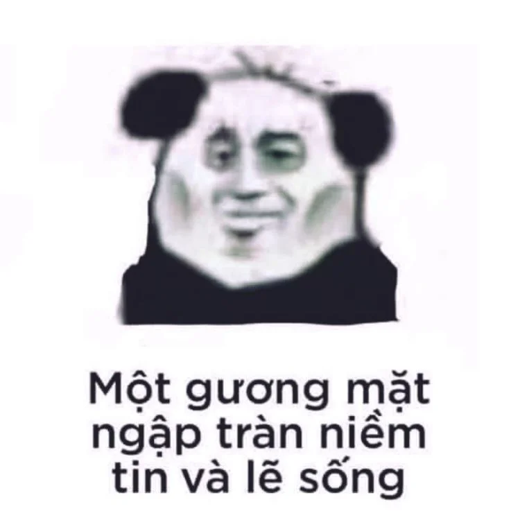 Hình meme mèo béo dễ thương nhất