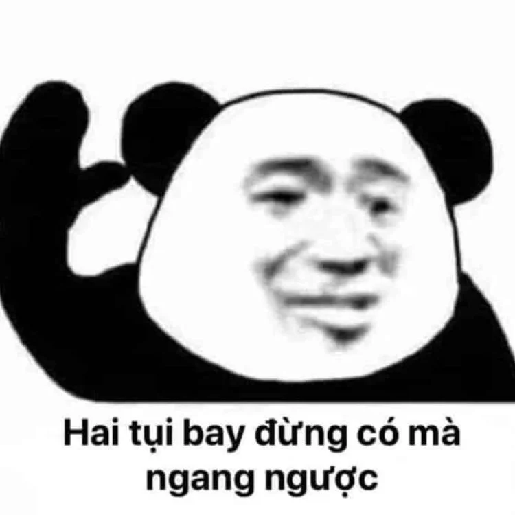 Hình meme mèo trắng cute hết cỡ