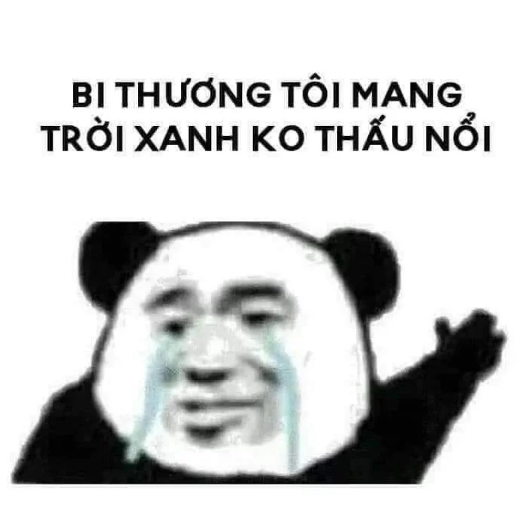 Hình meme nằm khóc hài hước lắm nha