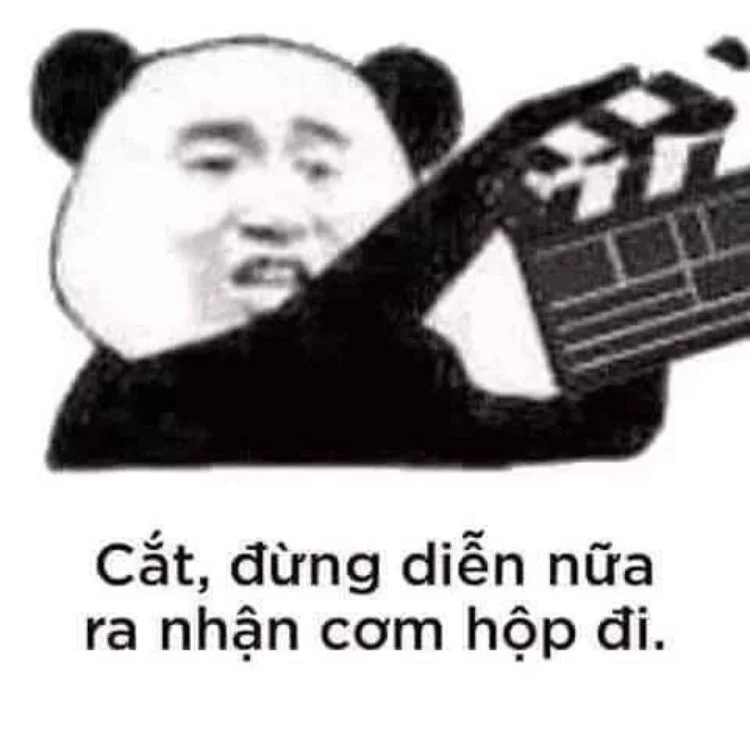 Hình meme gấu trúc siêu hài hước