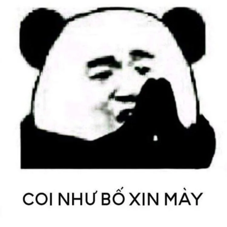 Hình meme mèo có chữ siêu hài hước