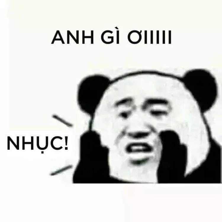 Hình meme hải ly Trung Quốc độc lạ