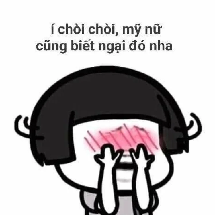 Bộ meme mèo chửi đáng yêu cực hot