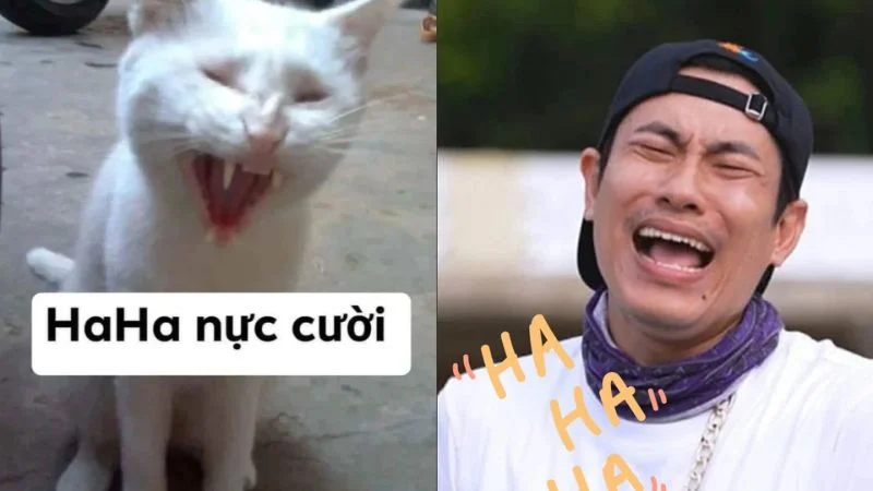 Bắt đầu ngày tràn ngập tiếng cười qua meme chúc ngày mới vui vẻ