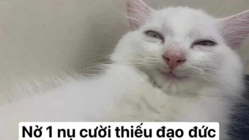 Thả cảm xúc thật qua meme game vui thôi mà